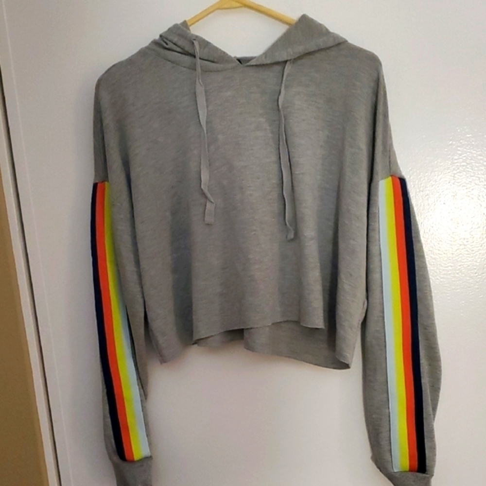 Wild Fable Gray Hoodie with Colorful Stripes Crop
